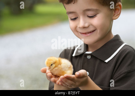 Little Boy holding a baby chick sur une ferme, WATERFORD, Ontario Banque D'Images