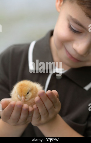 Little Boy holding a baby chick sur une ferme, WATERFORD, Ontario Banque D'Images