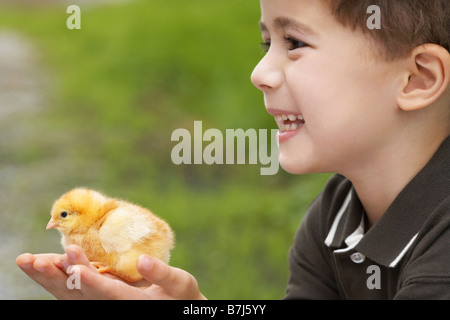 Little Boy holding a baby chick sur une ferme, WATERFORD, Ontario Banque D'Images