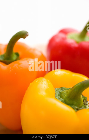 Close-up de jaune, orange et rouge Banque D'Images