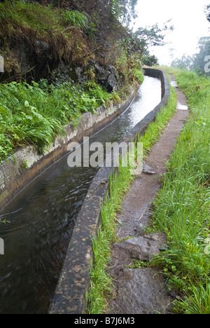 LEVADA MADÈRE Levada Norte dh de l'eau Débit d'eau en cours et sentier du waterway Banque D'Images