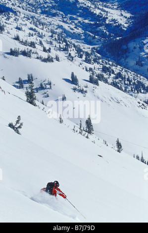 Jeune homme ski pente non suivies dans l'arrière-pays près d'Alta, Utah, USA Banque D'Images