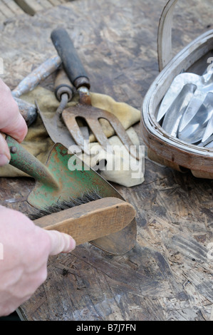 Outils à main de jardinage nettoyage avec une brosse métallique Banque D'Images