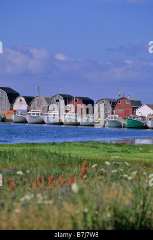 La ligne de cabanes de pêche à la baie Malpeque Harbour, PEI Banque D'Images