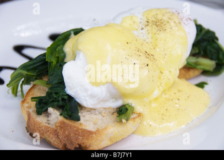 Oeufs pochés à la Florentine oeufs sur un lit d'épinards cuits sur muffin anglais grillé garni de sauce hollandaise. Banque D'Images