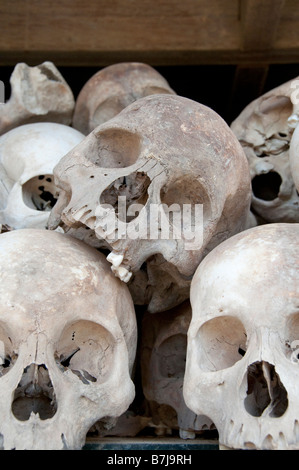 Les crânes de victimes sur l'affichage à Choeung Ek (The Killing Fields) à Phnom Penh, Cambodge Banque D'Images