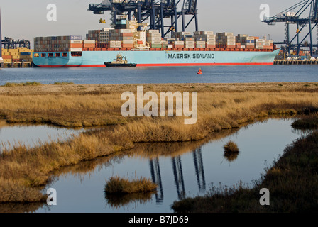 Maersk Sealand 'Michigan' container ship, port de Felixstowe, Suffolk, UK. Banque D'Images