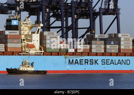 Maersk Sealand 'Michigan' container ship, port de Felixstowe, Suffolk, UK. Banque D'Images