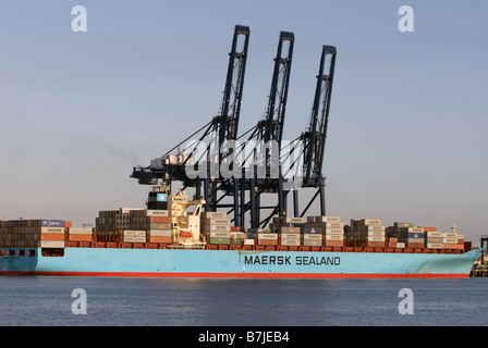 Maersk Sealand 'Michigan' container ship, port de Felixstowe, Suffolk, UK. Banque D'Images