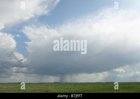 Pluie nuages sur prairie verte ; Canada, Manitoba, Erickson Banque D'Images