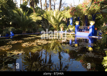 Marrakech Maroc afrique du nord de l'étang en décembre le merveilleux jardins Majorelle a commencé par Jacques Majorelle en 1924 Banque D'Images