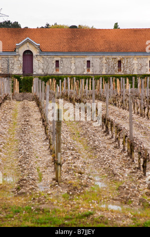 Bâtiment winery vineyard chateau la garde des Graves Bordeaux Pessac Léognan france Banque D'Images