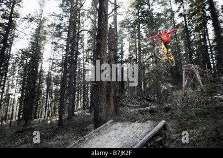 Biker avec bras tendus la mi-jump en forêt ; Canada, Alberta, Quirk Creek Banque D'Images