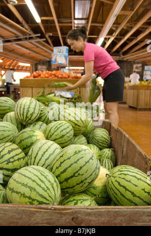 Une femme (20-25) choisit des produits frais à un stand de fruits en bordure de route ; le Canada, la Colombie-Britannique, Keremeos Banque D'Images
