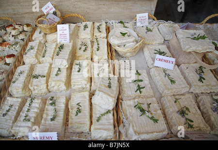 Sélection de fromages de Provence, boutique à St Remy, France Banque D'Images