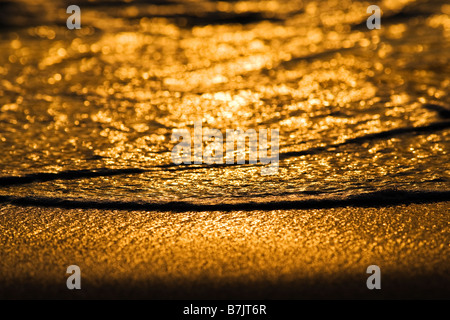 Close up de l'océan lave sur une plage sur une île tropicale dans les Maldives au coucher du soleil Banque D'Images