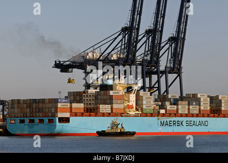 Maersk Sealand 'Michigan' container ship, port de Felixstowe, Suffolk, UK. Banque D'Images