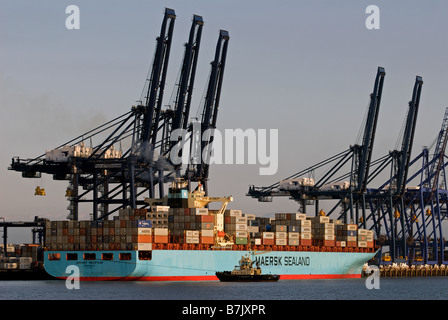 Maersk Sealand 'Michigan' container ship, port de Felixstowe, Suffolk, UK. Banque D'Images