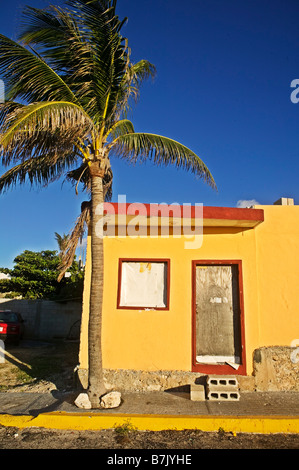 Grand palmier qui souffle dans la brise du matin à côté d'un petit bâtiment jaune sous un ciel bleu vif au Mexique. Banque D'Images