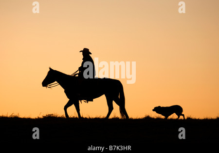 Cow-boy à cheval, suivi de son chien, travaillant tôt le matin avant le lever du soleil Banque D'Images