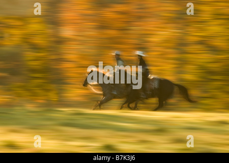 Mari et femme à cheval galopant sur des chevaux de quartier à travers le ranch dans les couleurs de l'automne Banque D'Images