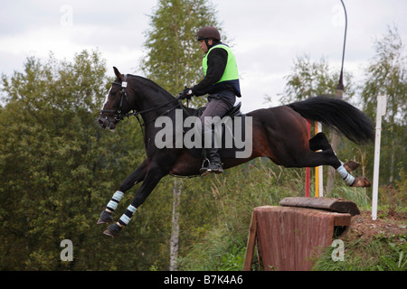 Rider portant un chapeau d'équitation et un protecteur corps sautant à cheval dans un pré Banque D'Images