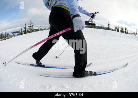 Une femme ski de fond, le parc provincial Strathcona près de Courtenay, BC, Canada Banque D'Images