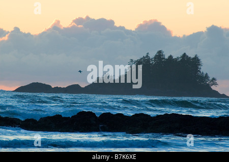 Sunset, Chesterman Beach, Tofino, Vancouver Island, BC Banque D'Images