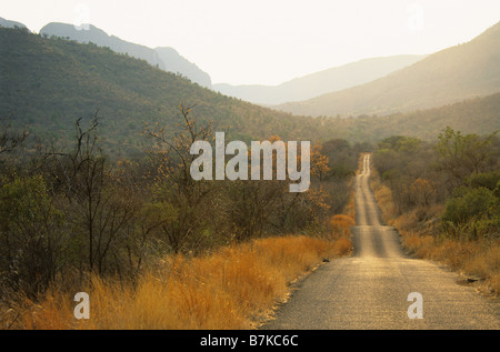 Sur la route de disparaître dans l'horizon de montagnes du Parc national de Marakele province du Limpopo, Afrique du Sud billet d'automne Banque D'Images