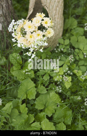 Bouquet de fleurs dans un panier Banque D'Images