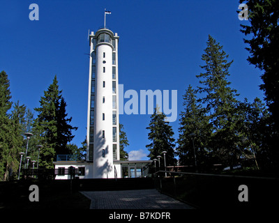 La tour d'observation Suur-Munamägi, Võru County, l'Estonie, Europe Banque D'Images