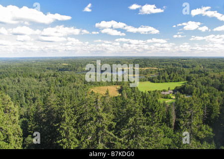 Vue depuis la tour d'observation Suur-Munamägi, Tallinn, Estonie, Europe Comté Banque D'Images