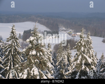 Vue depuis la tour d'observation Suur-Munamägi, Tallinn, Estonie, Europe Comté Banque D'Images