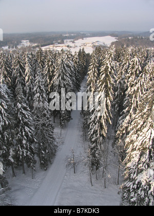 Vue depuis la tour d'observation Suur-Munamägi, Tallinn, Estonie, Europe Comté Banque D'Images