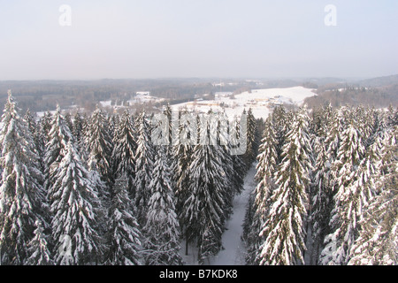 Vue depuis la tour d'observation Suur-Munamägi, Tallinn, Estonie, Europe Comté Banque D'Images