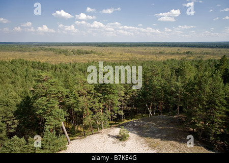 Vue depuis la tour, Pärnu-Ikla Rannametsa Tornimäe Recreation Area, comté de Pärnu, Estonie, Europe Banque D'Images