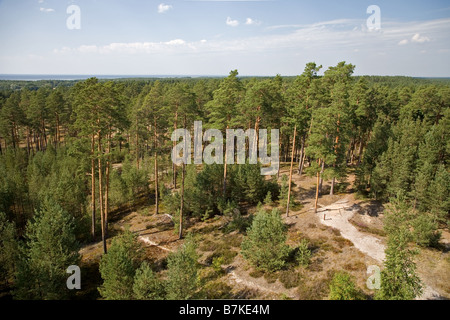 Vue depuis la tour, Pärnu-Ikla Rannametsa Tornimäe Recreation Area, comté de Pärnu, Estonie, Europe Banque D'Images