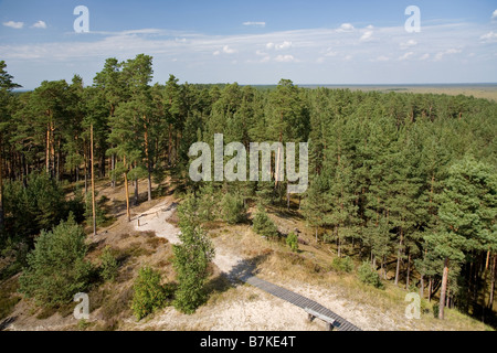 Vue depuis la tour, Pärnu-Ikla Rannametsa Tornimäe Recreation Area, comté de Pärnu, Estonie, Europe Banque D'Images