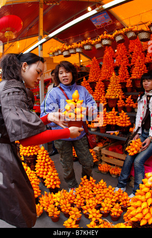 Fruit d'or sur dicplay à Guangzhou Marché aux fleurs pour le Nouvel An chinois Banque D'Images