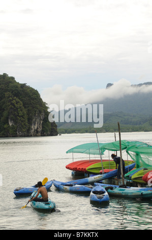 Kayak à Ao Nalene mangroves en Thaïlande Banque D'Images