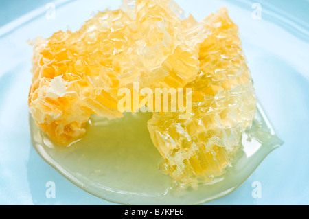 En miel frais sur une plaque alvéolaire Banque D'Images