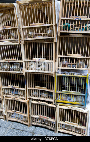 Les cages à oiseaux dans le marché aux oiseaux de Hong Kong Banque D'Images