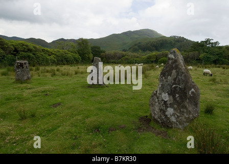 Loch Buie Stone Circle sur l'île de Mull en Écosse. Banque D'Images