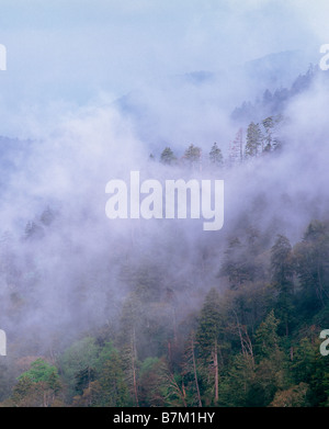 L'augmentation de la création de la brouillard 'Smoke' dans les Smoky Mountains ; de Morton surplombent, Great Smoky Mountains National Park Banque D'Images