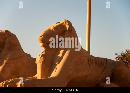 Temple de Karnak Sphinx tête Ram Banque D'Images