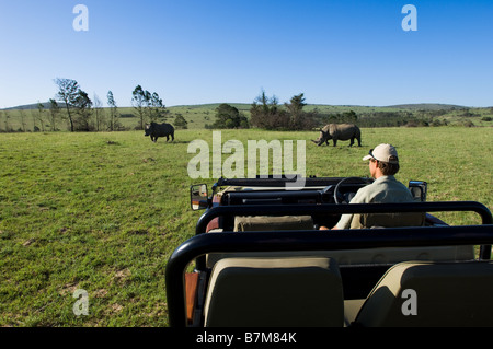 Image prise sur une partie de route en Afrique du Sud avec le rôdeur assis dans le véhicule ouvert et 2 rhinos dans l'arrière-plan Banque D'Images