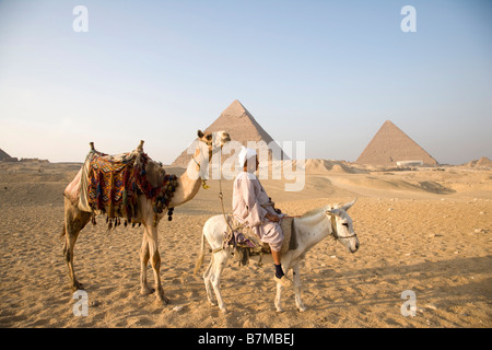 Pyramides, Gizeh, sable, désert, Egypte, Chaud, vacances, Voyage, Egyptien local, promenade à dos de chameau, bédouin Banque D'Images