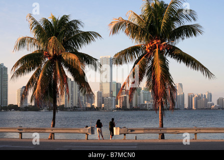 La fin de l'après-midi vue de la ville de Miami, en Floride, avec un couple de premier plan, les palmiers et les pêcheurs. Banque D'Images