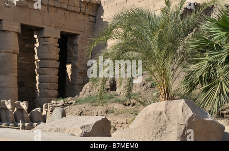 Temple de Karnak, Louxor, Egypte 081116 32548  Banque D'Images