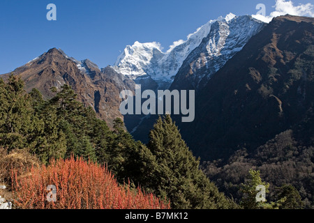 La forêt alpine et majestueux Kang Taiga 6685 m Mountain comme vu dans la région de la vallée de Khumbu Everest Népal Banque D'Images